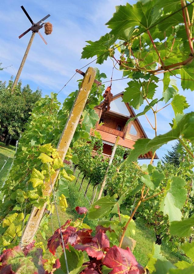 Apartma-Spa Natura Sveti Jurij ob Scavnici Exterior foto